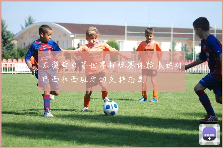 东契奇分享世界杯观赛体验表达对巴西和西班牙的支持态度
