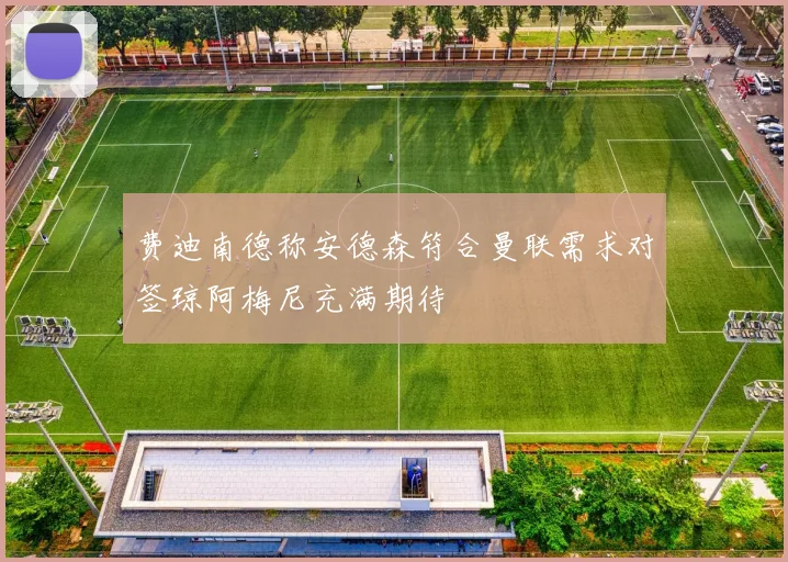 费迪南德称安德森符合曼联需求对签琼阿梅尼充满期待