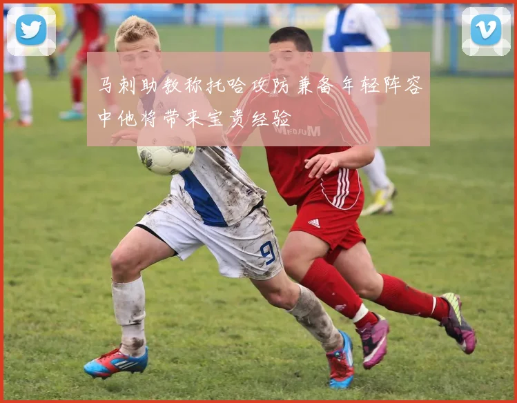 马刺助教称托哈攻防兼备年轻阵容中他将带来宝贵经验